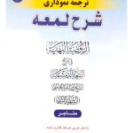 کاملترین ترجمه نموداری شرح لمعه ۴ | دکتر حمید مسجدسرایی