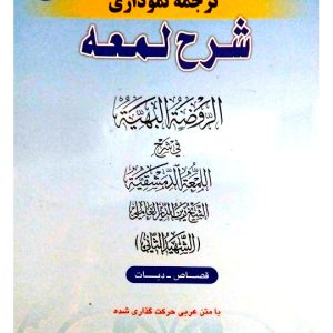 کاملترین ترجمه نموداری شرح لمعه ۱۰ | دکتر حمید مسجدسرایی