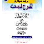 کاملترین ترجمه نموداری شرح لمعه ۳ | دکتر حمید مسجدسرایی