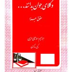 وکلای جوان بدانند (جلد نهم - حقوق جزا) | ابراهیم اسماعیلی‌هریسی